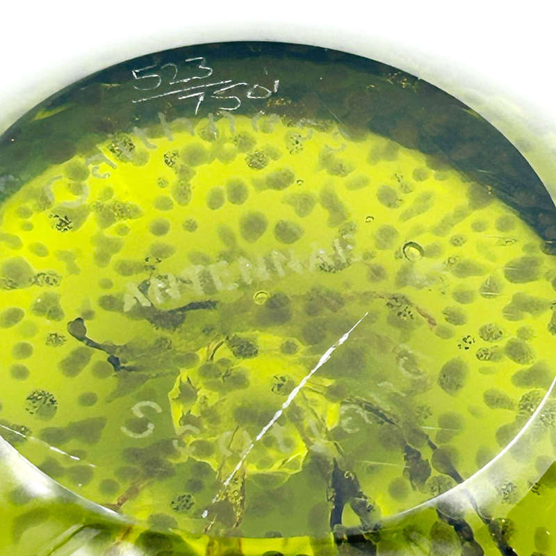 Caithness Scotland Antennae Art Glass Paperweight LTD Edition