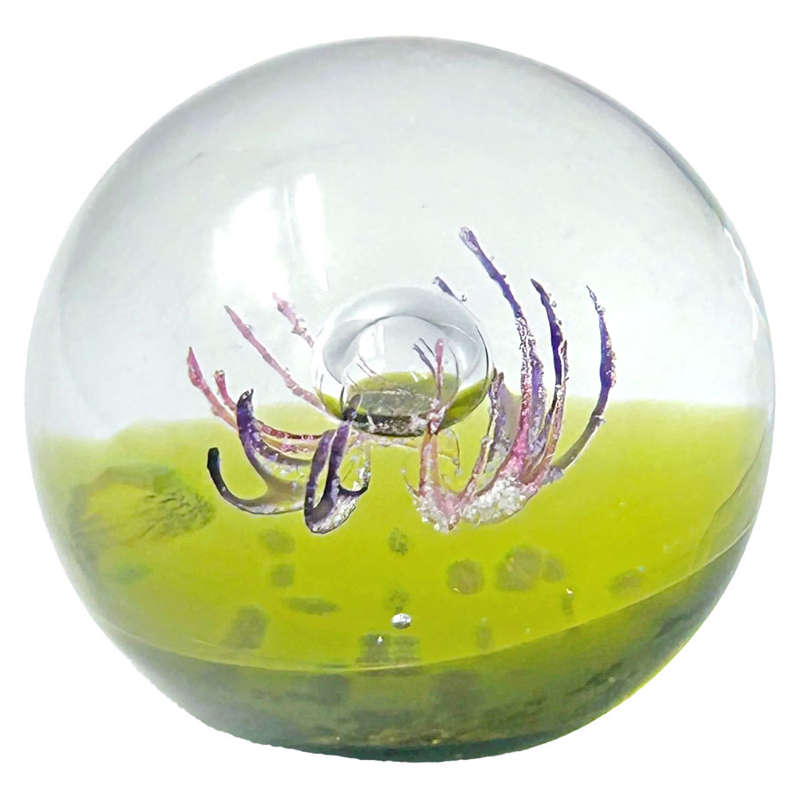 Caithness Scotland Antennae Art Glass Paperweight LTD Edition