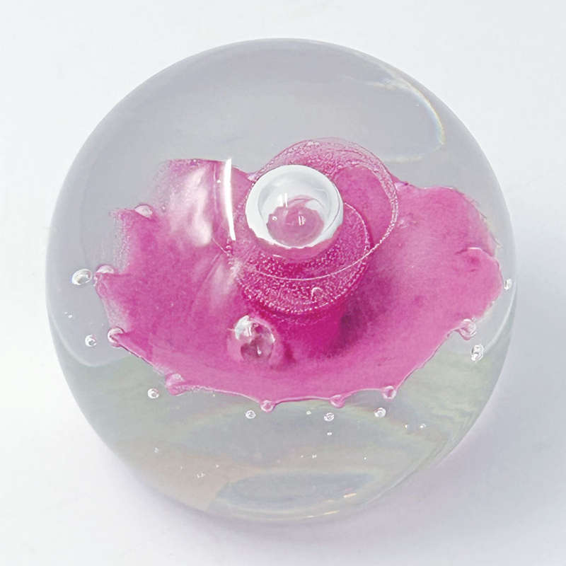 Caithness Scotland Floral Illusion Art Glass Paperweight LTD Edition