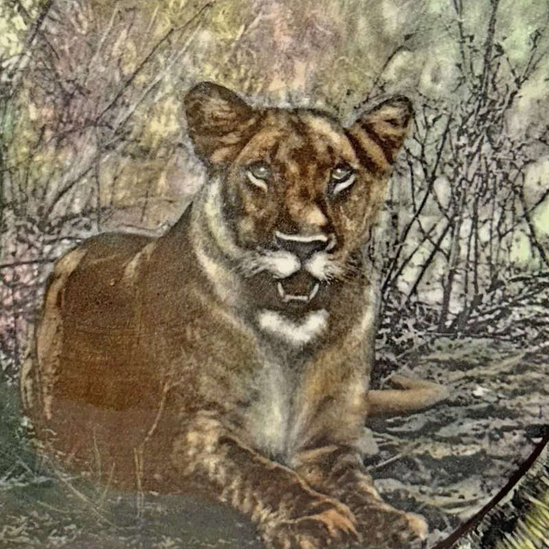 Royal Doulton African Game Reserve Lioness Charger