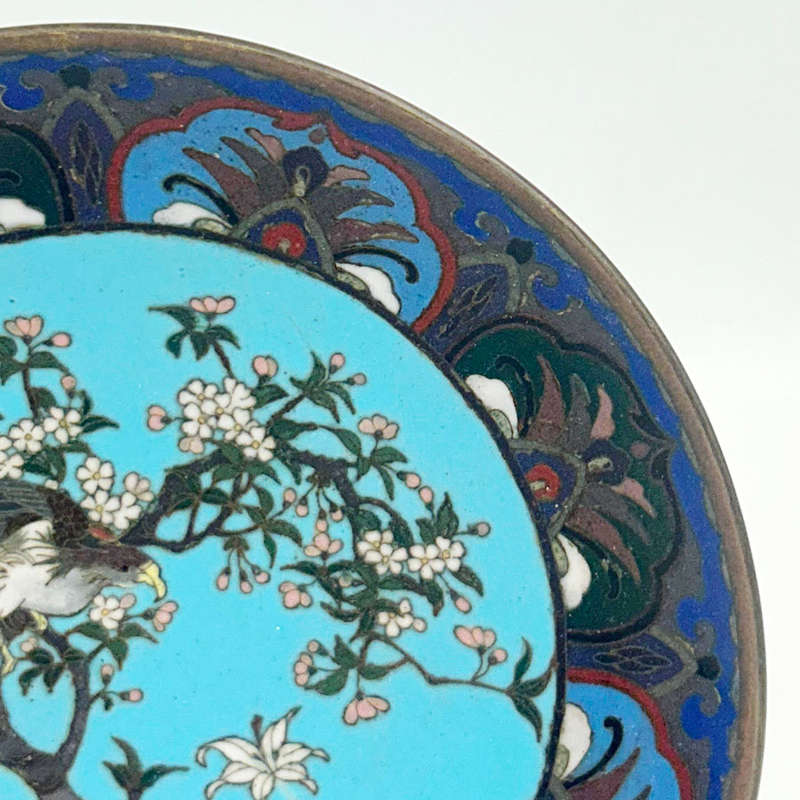 Japanese  Cloisonné  Tree and Bird Scene C1890 Bowl