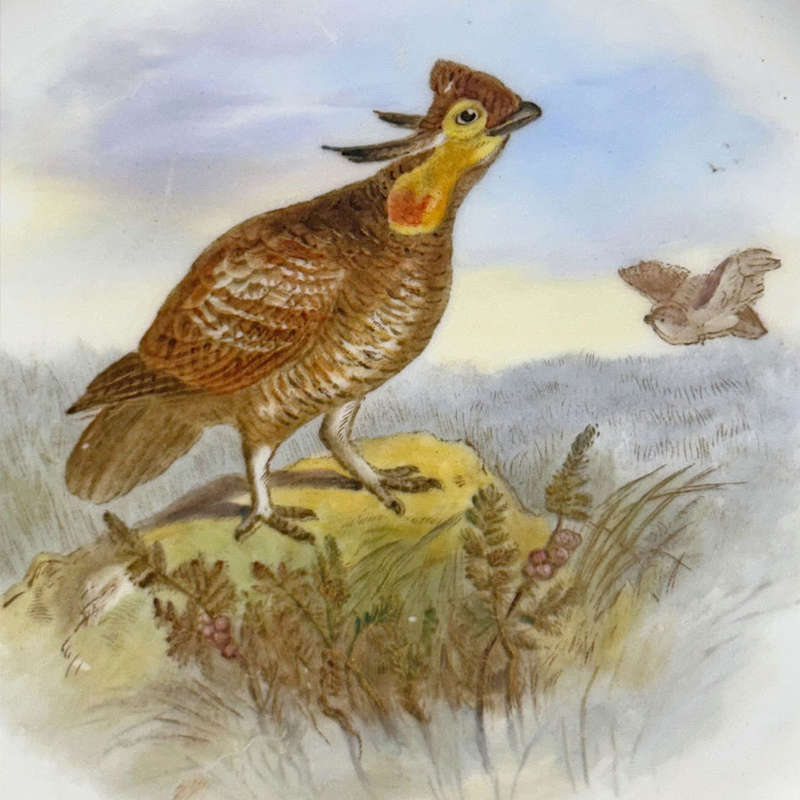 Royal Worcester Pheasant Hand Painted Cabinet Plate C1888