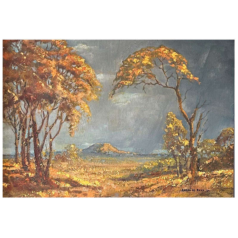 Andre de Beer Landscape Scene