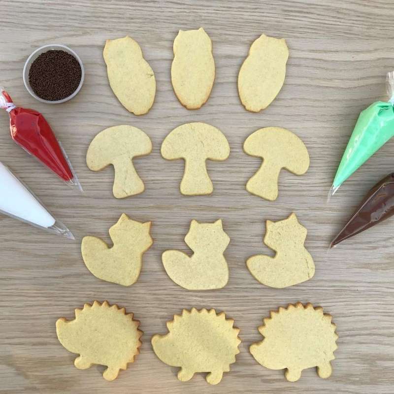 Woodland Decorating Kit