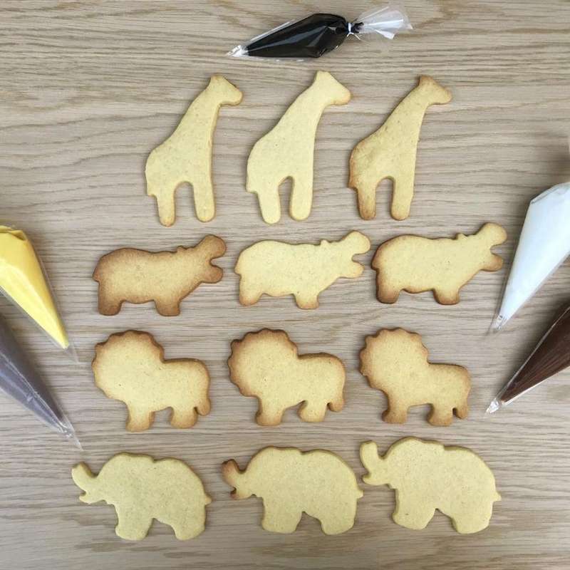 African Animals Decorating Kit