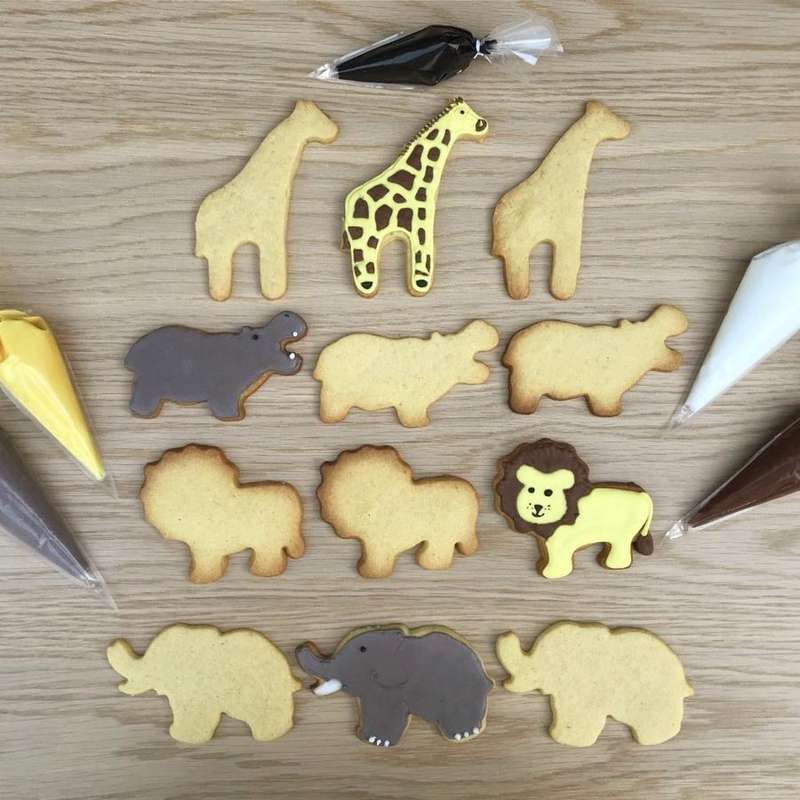 African Animals Decorating Kit