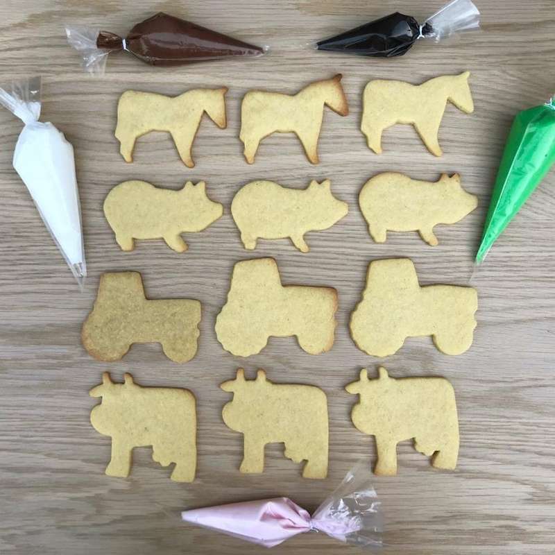 Farm Fun Decorating Kit