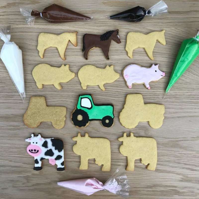 Farm Fun Decorating Kit