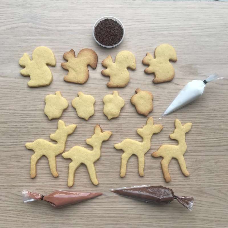 Forest Friends Decorating Kit