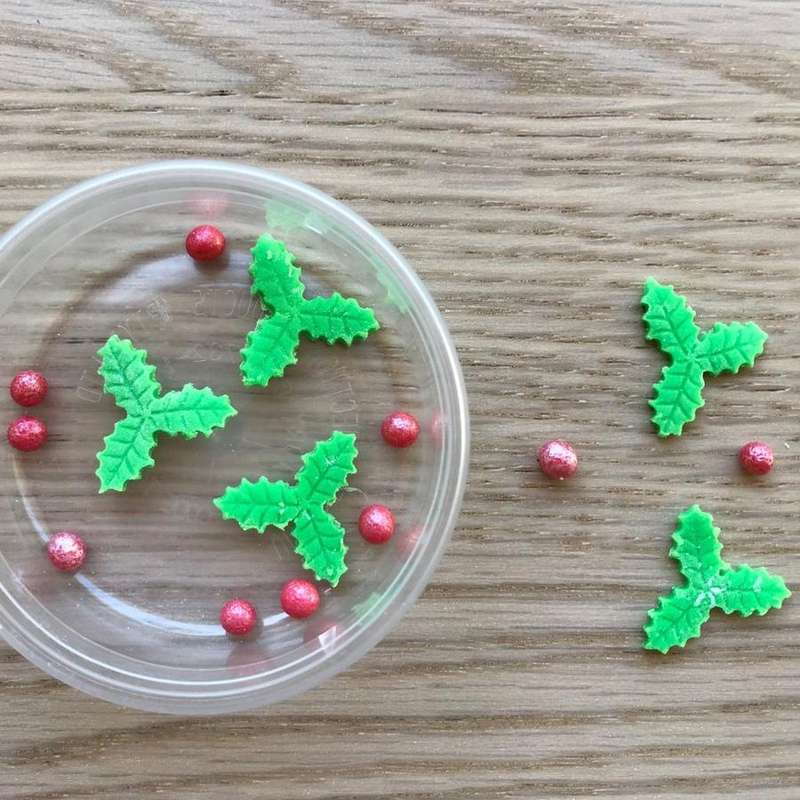 Holly Leaves and Berries