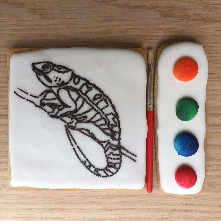 Paint Your Own Cookie Chameleon