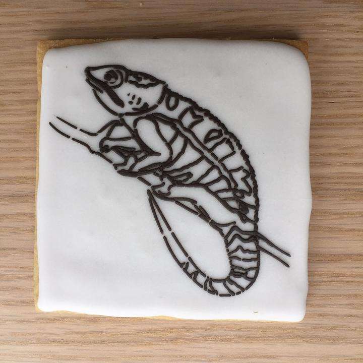 Paint Your Own Cookie Chameleon
