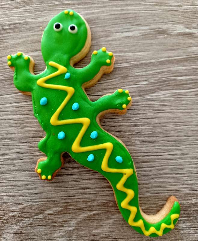 12 Gecko Cookies