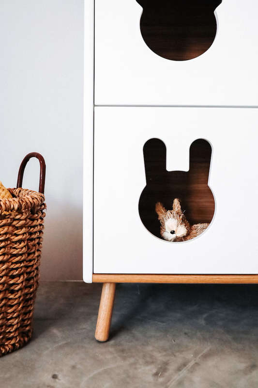 Animal Cut Shelves