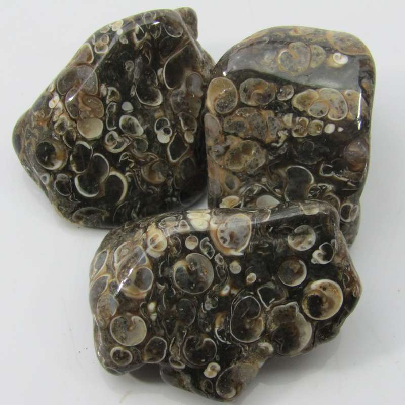 Turitella Agate Tumbles (Large)