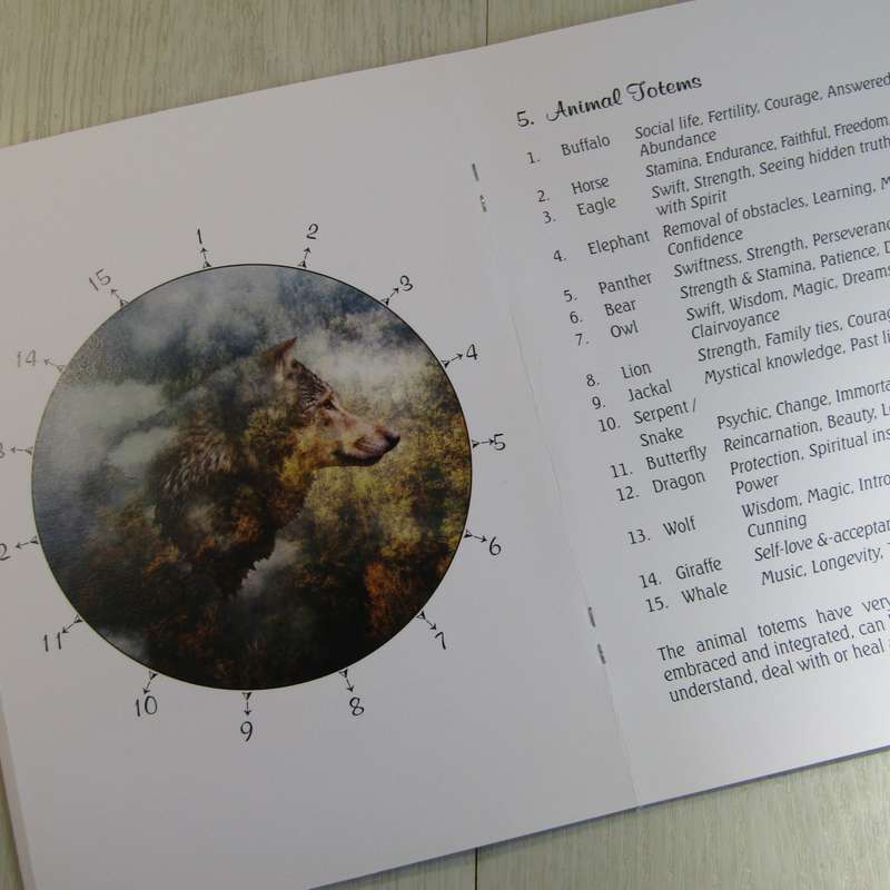 Pendulum Book Set -Working With Spirit is a Joy