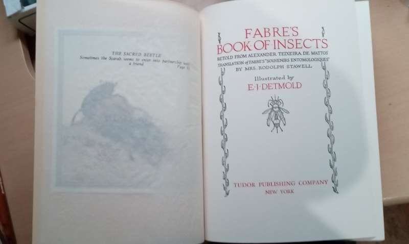 Fabre's Book of Insects 1936 E J Detmold Tipped-In Illustrated Plates