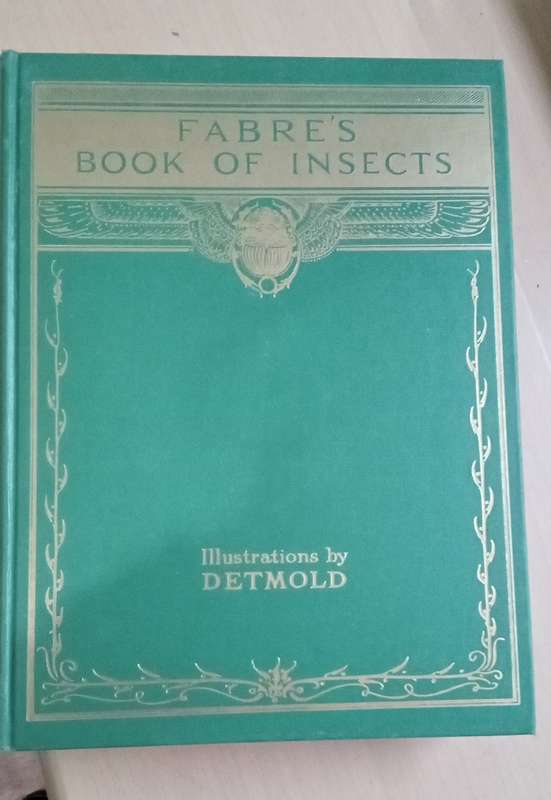 Fabre's Book of Insects 1936 E J Detmold Tipped-In Illustrated Plates