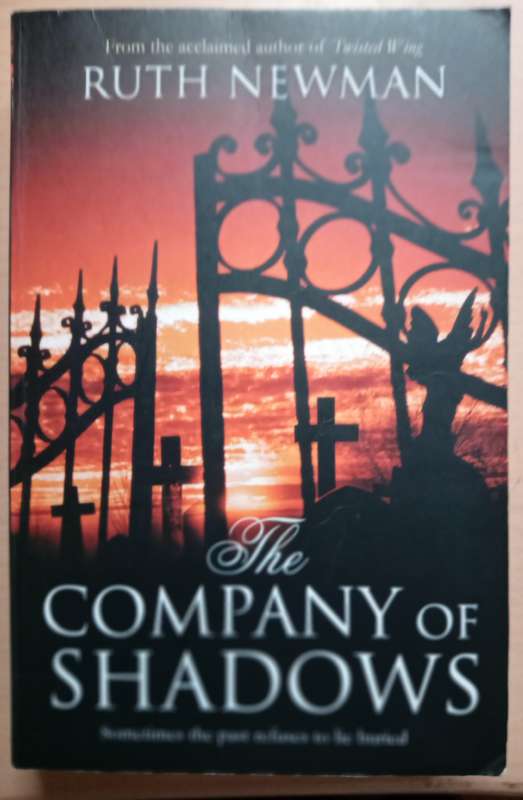 The Company of Shadows (Ruth Newman)