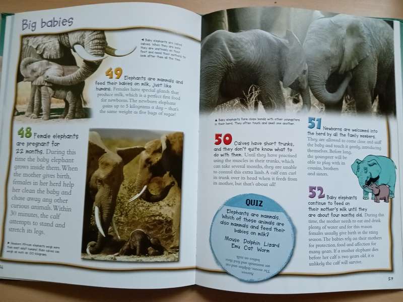 100 Things you should know about Elephants (de la Bedoyere)