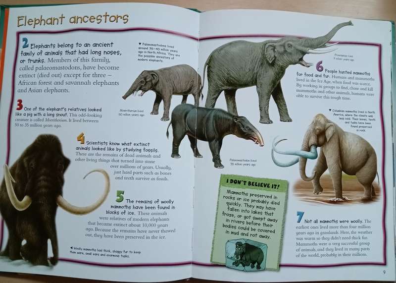 100 Things you should know about Elephants (de la Bedoyere)