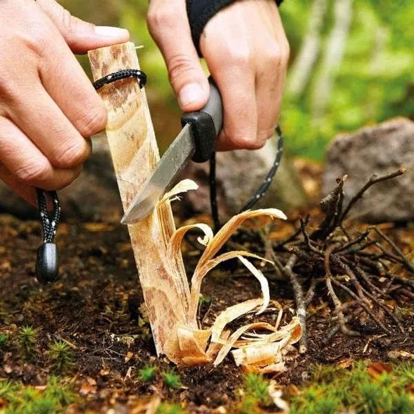 Wax Wood