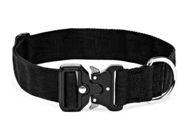 Canine 38mm Web Collar Metal QR: Small