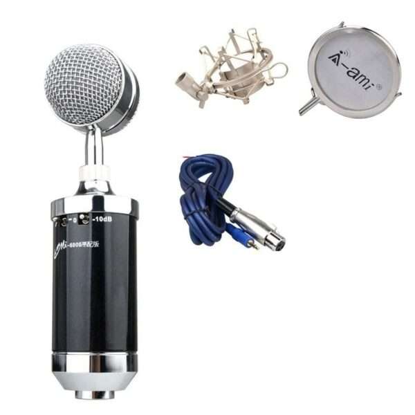 MI-6000 Condenser Microphone Radio Broadcasting Computer Studio Microphone
