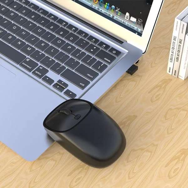 SE-M13 USB 2.4Ghz Wireless Mouse