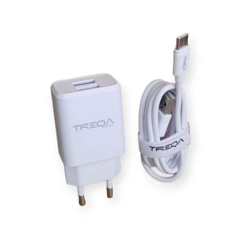 Treqa CS-221 Dual 3.1A USB Wall Charger With Type C USB Cable