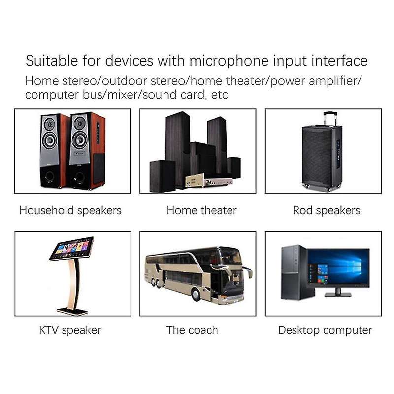 308 Professional Wireless Microphone