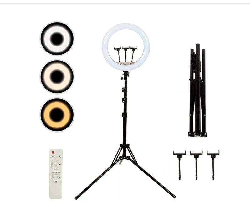 LJJ-56 56cm 22 inch Ring Light for Social Media Videos With Tripod Stand
