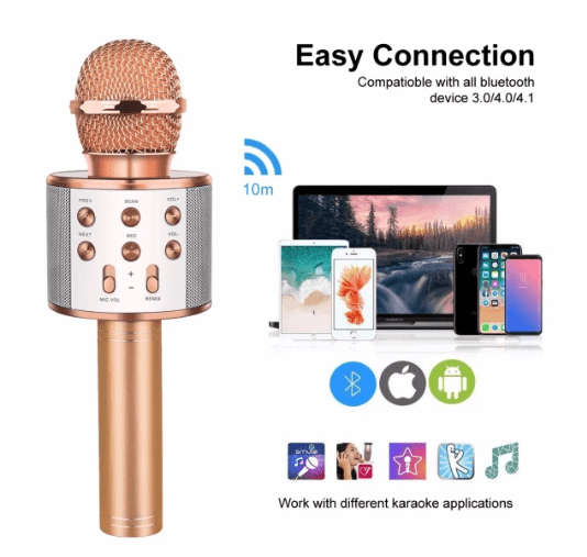 WS-858 Wireless Bluetooth Handheld Karaoke Microphone