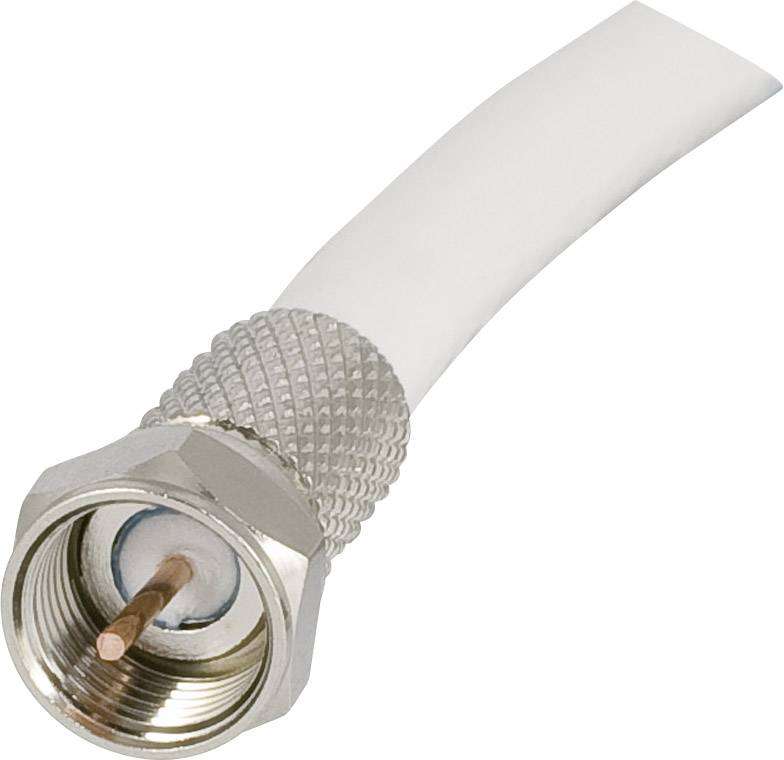 Self Tightening F-Head TV Screw Connector Pack OF 100