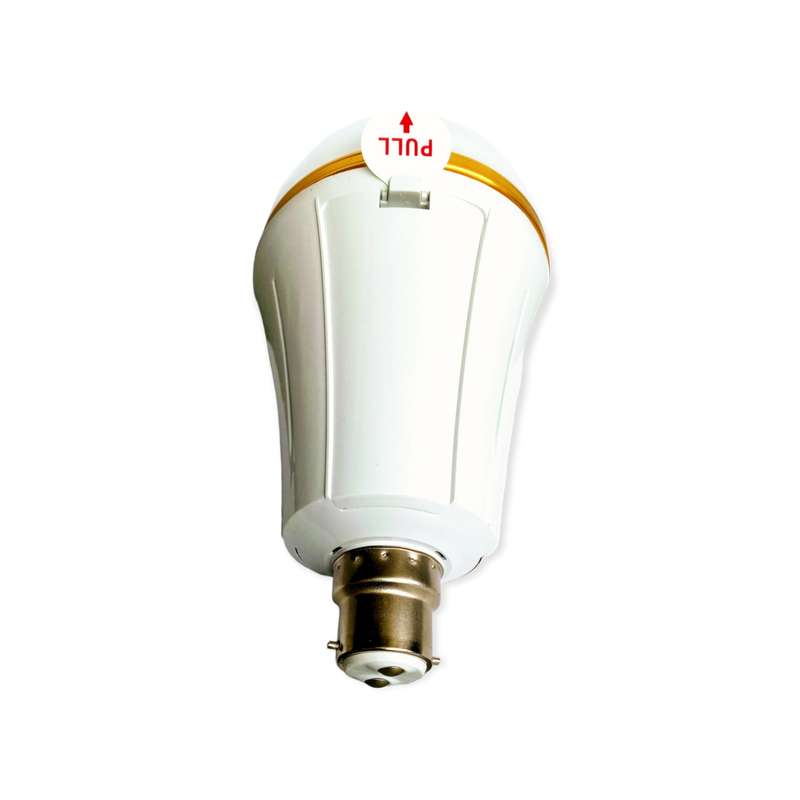 Aerbes AB-Z954  30W Rechargeable LED Bulb Light B22