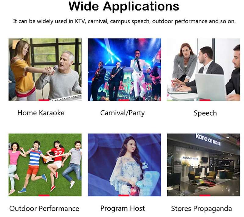 109 Professional Universal Wireless Microphone