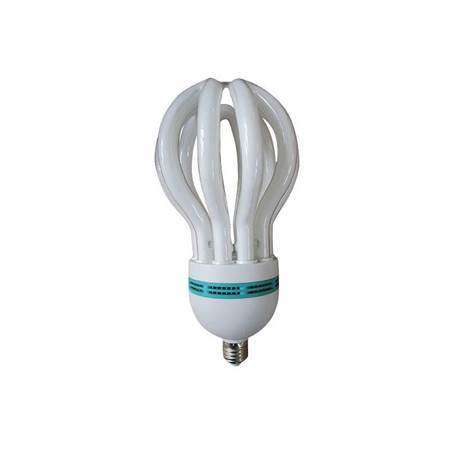105W(F)B22energy saver