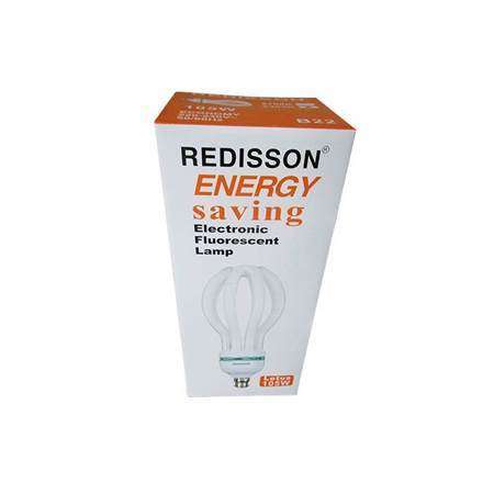 105W(F)B22energy saver