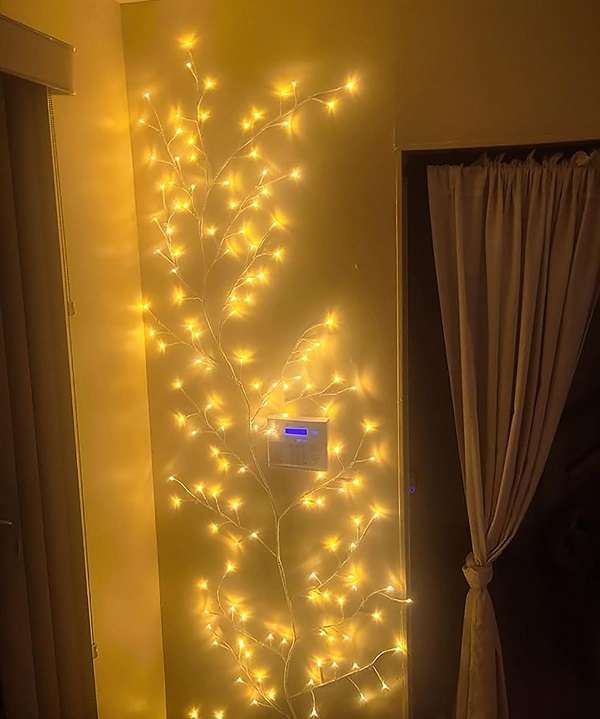 ZYF-134 Enchanted LED Willow White Vine  Warm White 220V