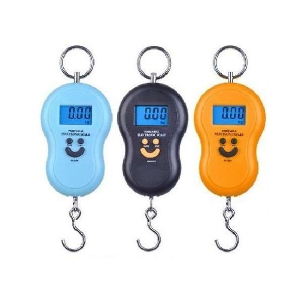 Portable Hanging Electronic Scale