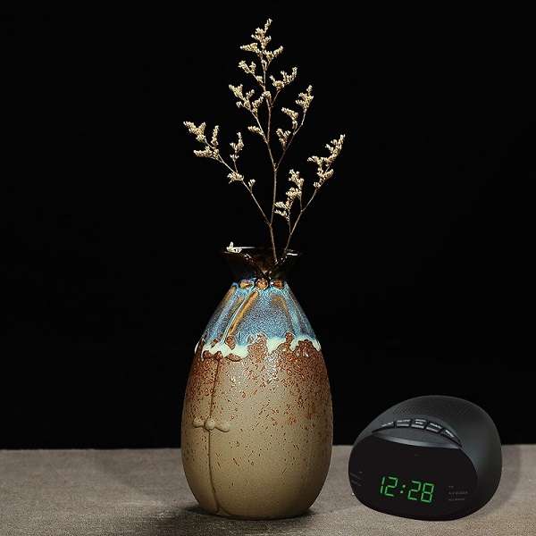 Wolulu AS-51704 AM/FM Alarm Clock Radio
