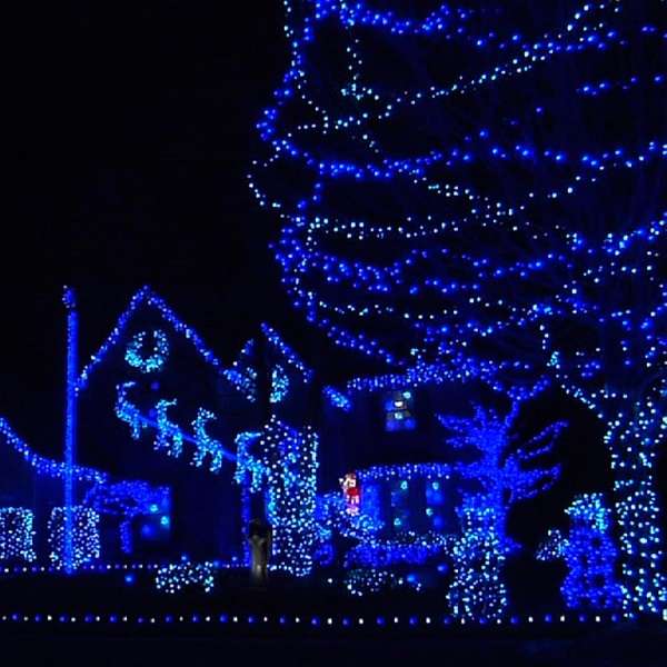 ZYF-149 100M Blue 9V String Fairy Light on Black Cable With 8 Modes