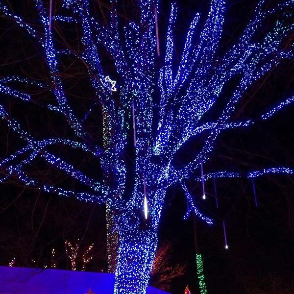 ZYF-149 100M Blue 9V String Fairy Light on Black Cable With 8 Modes