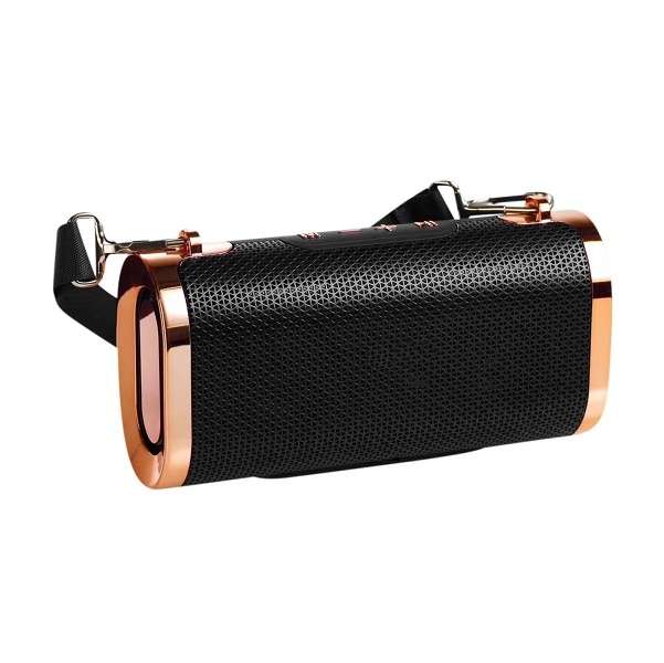Aerbes AB-D421 Wireless Rechargeable Bluetooth Speaker