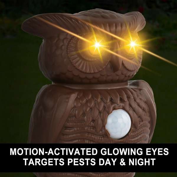 JG20375541 Owl Alert Motion Sensor And Ultrasonic Pest Repellent Outdoor Statue With Flashing Eye...