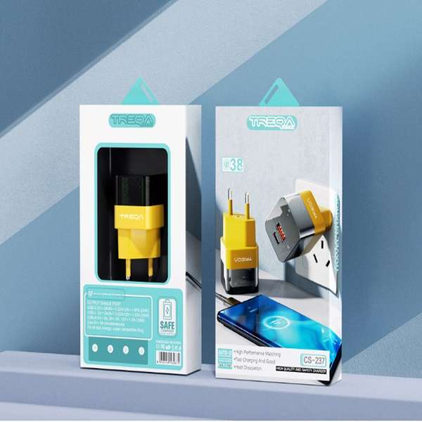 Treqa CS-237PD 38W USB + PD Charging Head With Type C To Lightning Cable