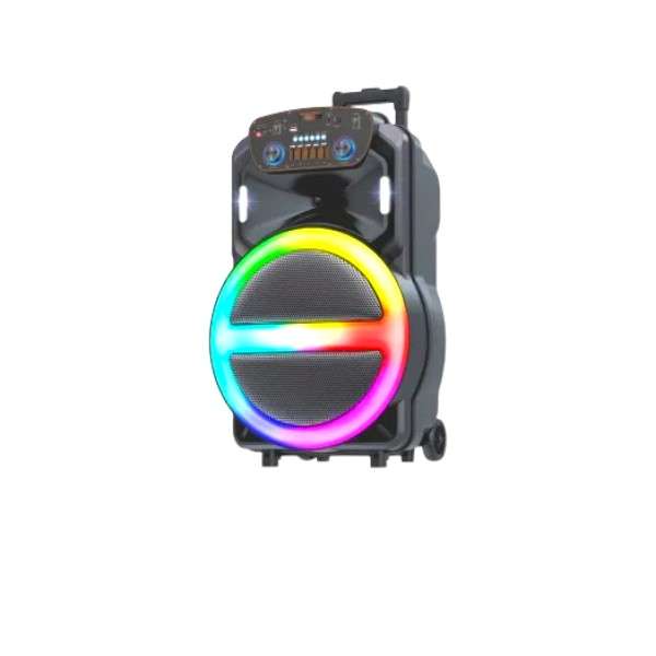 GY-1509 15-Inch Portable Bluetooth Karaoke Speaker with Wireless Microphone