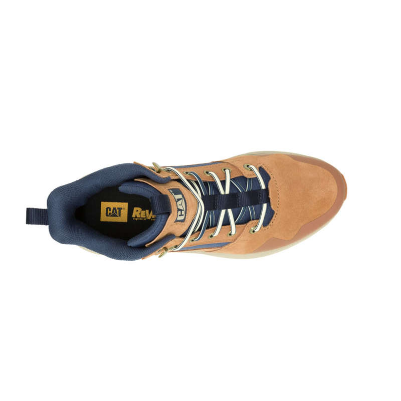 CAT Colorado Sneaker - Brown Sugar/Spellbound