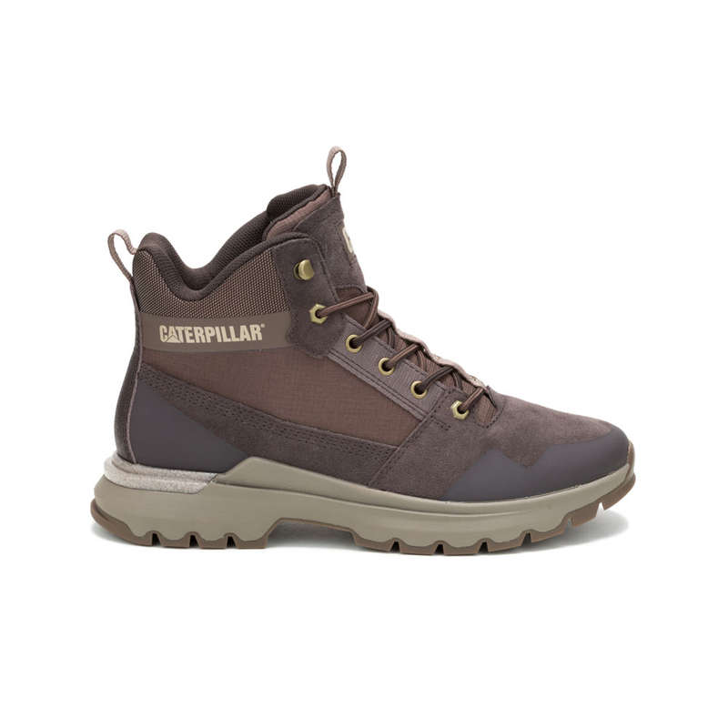 CAT Colorado Sneaker - Coffee Bean/Rain Drum