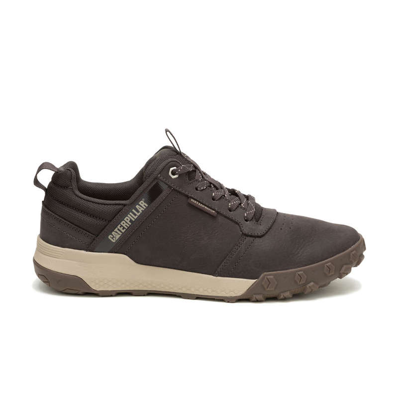 CAT Hex Ready Low WP - Coffee Bean